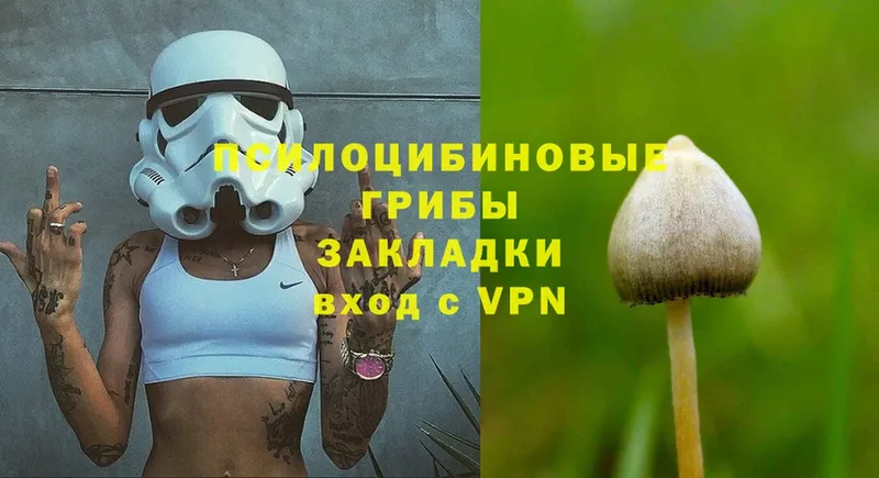 Псилоцибиновые грибы Psilocybe  Качканар 